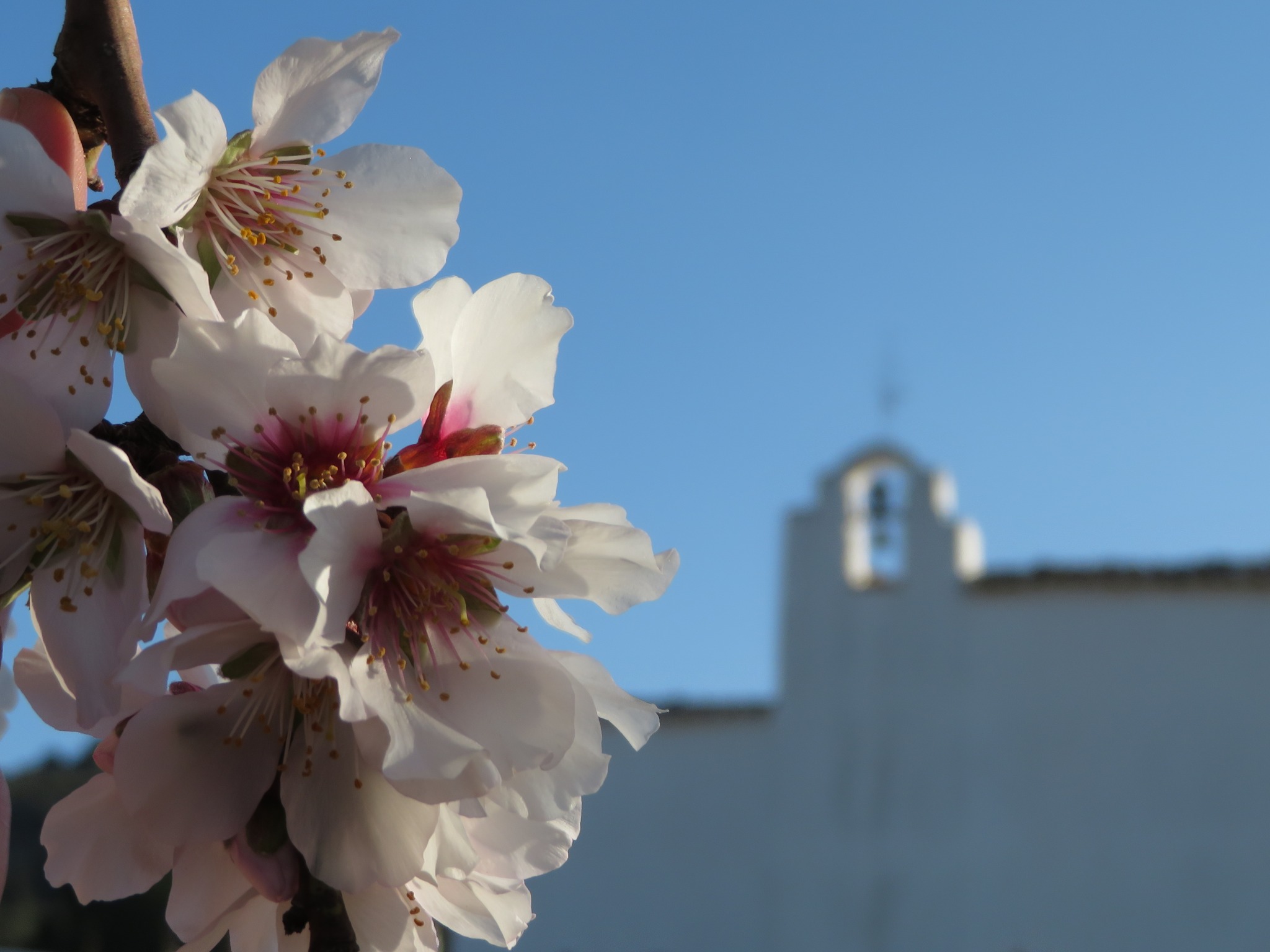 Neus Pla Guanya El Iv Concurs De Fotografia Lametler Florit A