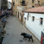 WhatsApp-Image-2022-09-10-at-20.34.15-2