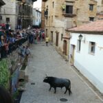 WhatsApp-Image-2022-09-10-at-20.34.15-3