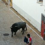 WhatsApp-Image-2022-09-10-at-20.34.17-1