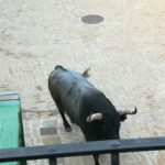 WhatsApp-Image-2022-09-10-at-20.34.18-1