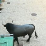 WhatsApp-Image-2022-09-10-at-20.34.18