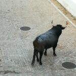 WhatsApp-Image-2022-09-10-at-20.34.18-2