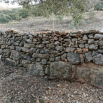 murs-de-pedra-barranc-dels-molins-1
