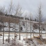 20190202_142254_1067x800