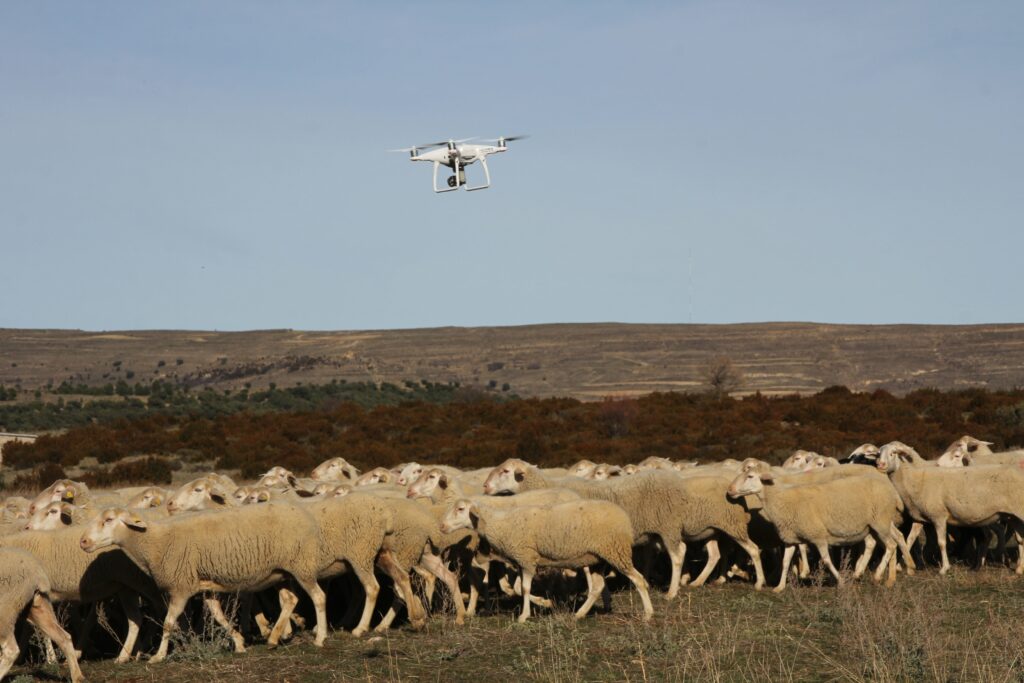 La jornada de drones en ganadería ha sido un éxito