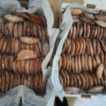 LA IGLESUELA DEL CID PASTELES SAN ANTONIO 21012023 (11)