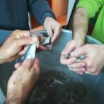 LA IGLESUELA DEL CID PASTELES SAN ANTONIO 21012023 (13)