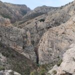 WhatsApp Image 2023-01-11 at 13.21.49