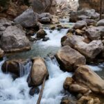 WhatsApp Image 2023-01-11 at 13.21.55