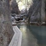 WhatsApp Image 2023-01-11 at 13.22.16