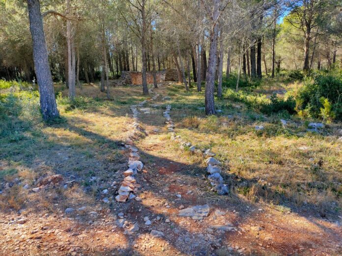 Continuen els treballs de la brigada forestal de Tirig (3)