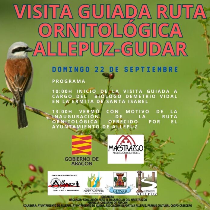 Allepuz. Visita guiada ruta ornitológica