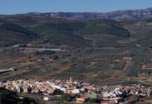 Ajudes de 10.800 euros per a facilitar l’accés dels joves a una vivenda en pobles