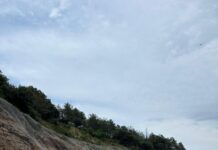 Millores de seguretat en l’accés viari a Vistabella del Maestrat