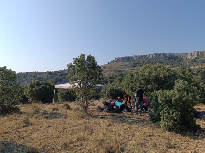 Excavacions al mas d'Asnar