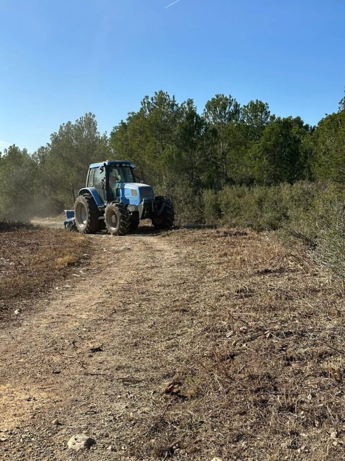 Treballs de millora de camins