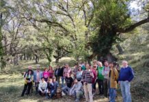 Benassal tanca el Mes de l’Avellana amb un participatiu Mercat Gastronòmic