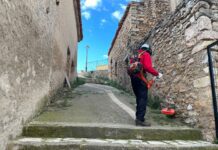Les fotos. La brigada forestal EMERGE inicia els treballs en Vistabella del Maestrat