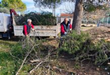 La Torre d’en Besora rep una subvenció per a la contractació de quatre persones durant sis mesos (EMERGE)