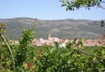 Albocàsser impulsa el comerç local amb una nova campanya de vals durant gener i febrer de 2026