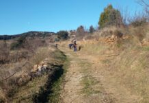 Benassal reforça el desbrossament i el manteniment de camins i barrancs