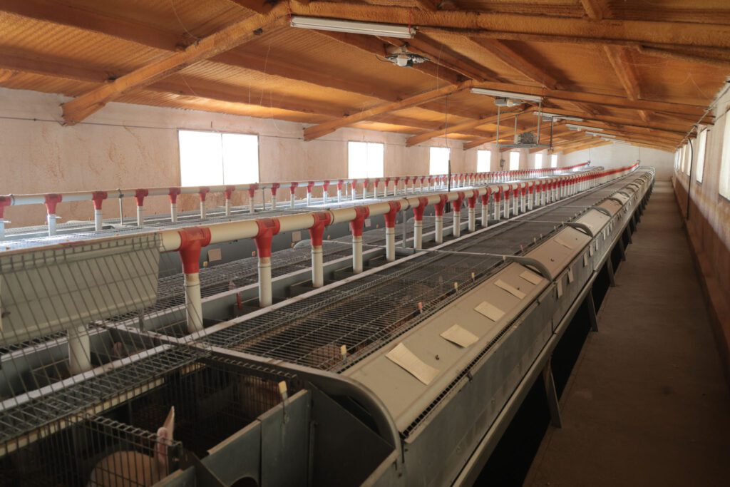 Una de les granjes de Vilafranca