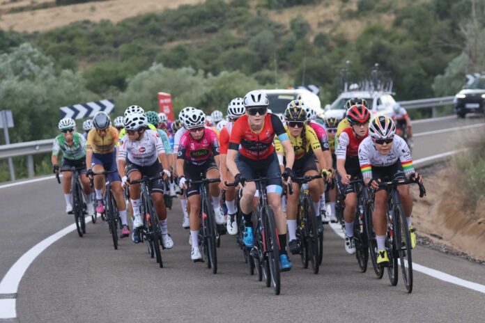 doc_6872f5aa230193.81187431_IMG_6216