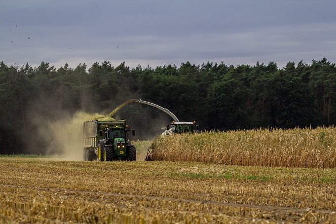 erich_rg-farmer-4666598