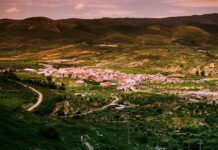 Tírig licita les obres de millora del camí rural cap a Catí