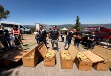 Benassal tanca una de les edicions més multitudinàries que es recorden de Sant Cristòfol amb agraïments als majorals i al personal municipal