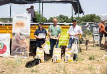 Ares torna a ser seu del concurs de gossos de rabera amb un gran nivell de participació