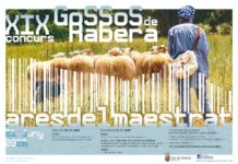 Ares del Maestrat es prepara per a acollir el XIX Concurs de Gossos de Rabera, última prova del Campionat de la Comunitat Valenciana