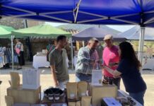 La Torre d’en Besora va viure una multitudinària II Fira del Cavall i Productes del Maestrat amb música, gastronomia i tradició