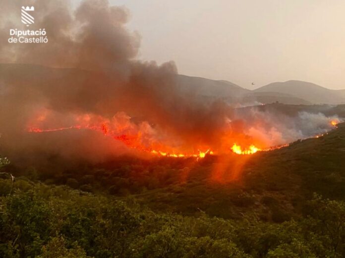 Incendi forestal a Atzeneta al 2025 (Foto: Bombers Dipcas)